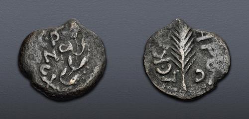 Lot 584 image