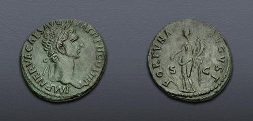 Lot 705 image