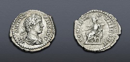 Lot 800 image