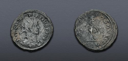 Lot 856 image