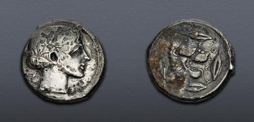Lot 26 image