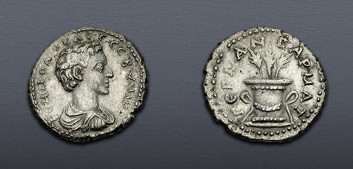 Lot 482 image