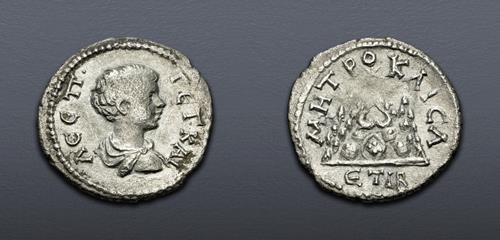 Lot 491 image