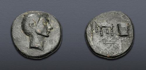 Lot 503 image