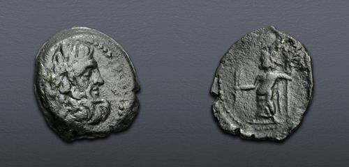 Lot 505 image