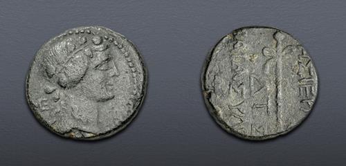 Lot 516 image