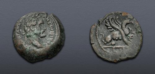 Lot 555 image