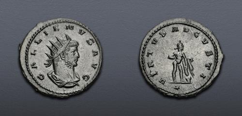 Lot 788 image