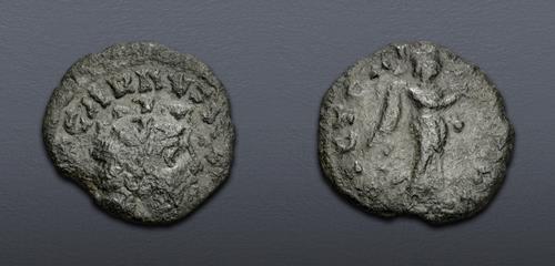 Lot 817 image