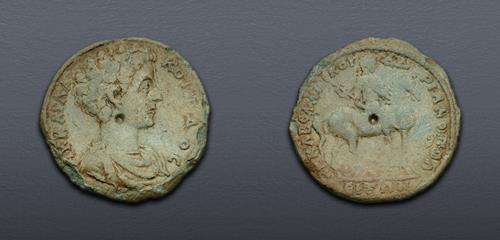 Lot 366 image