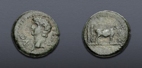 Lot 381 image
