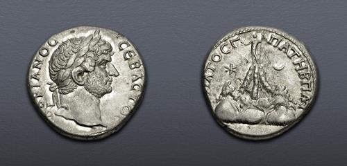 Lot 446 image