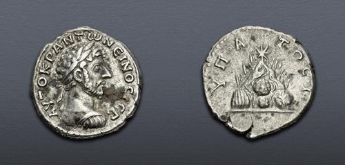 Lot 448 image