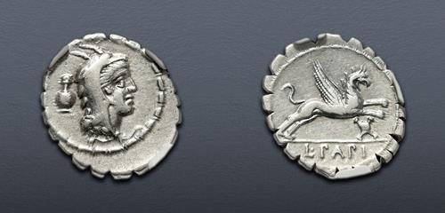 Lot 513 image