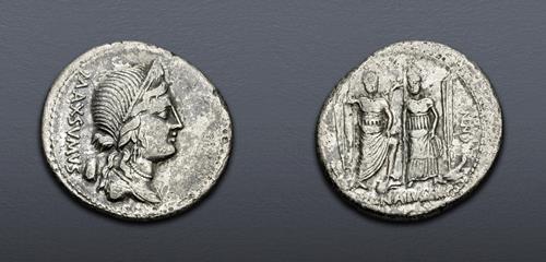 Lot 515 image