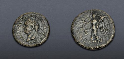 Lot 559 image