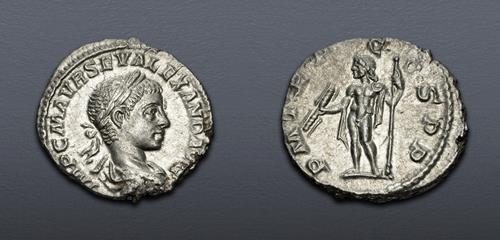 Lot 631 image