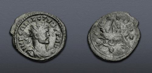 Lot 717 image