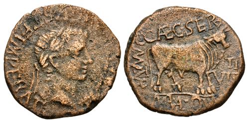 Lot 205 image