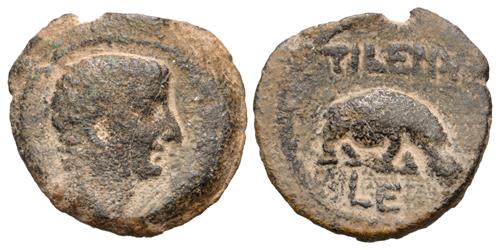 Lot 238 image