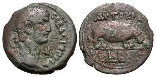 Lot 239 image