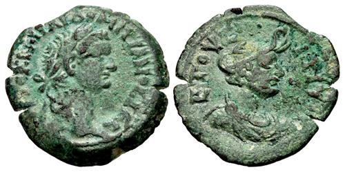 Lot 257 image