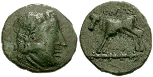 Image 0