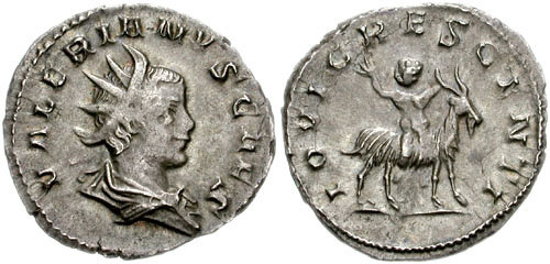 Image 0