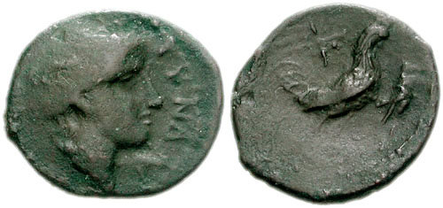 Image 0