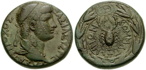 Image 0