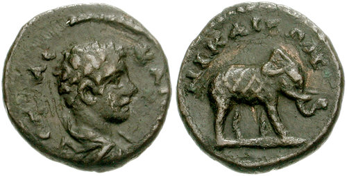 Image 0