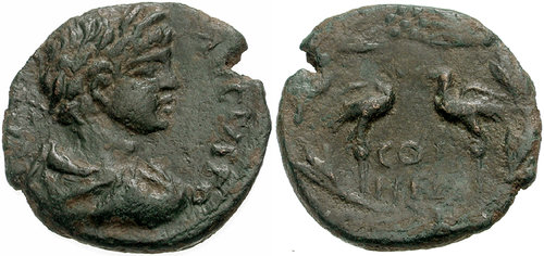 Image 0