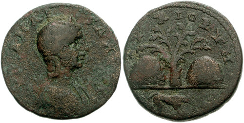 Image 0
