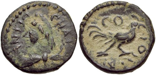 Image 0