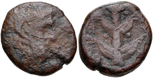 Image 0