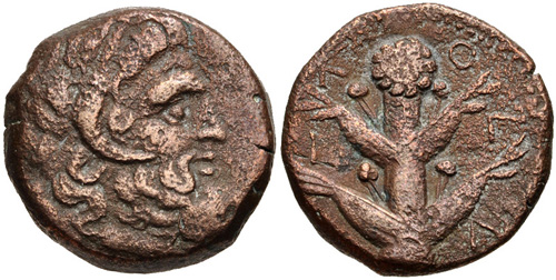 Image 0