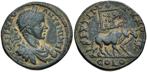 Image 0