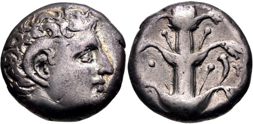 Image 0