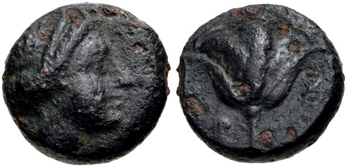 Image 0