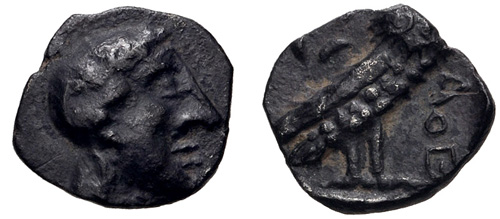 Image 0