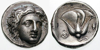 Image 0