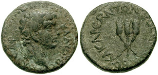 Image 0