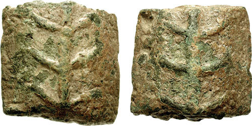 Image 0