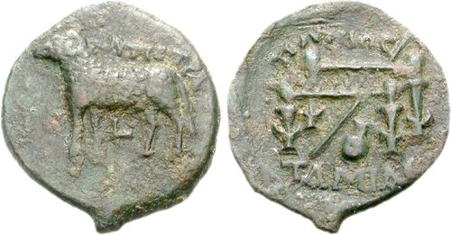 Image 0