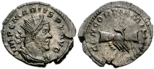 Image 0