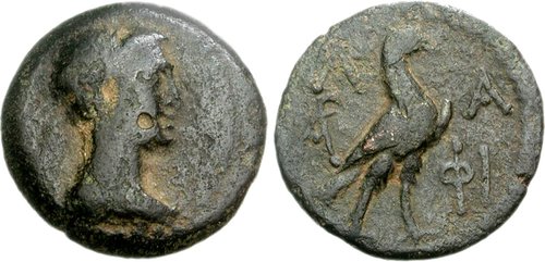 Image 0
