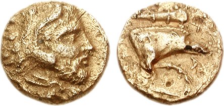 82000411.jpg