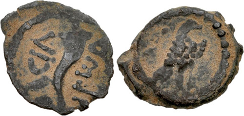 Image 0