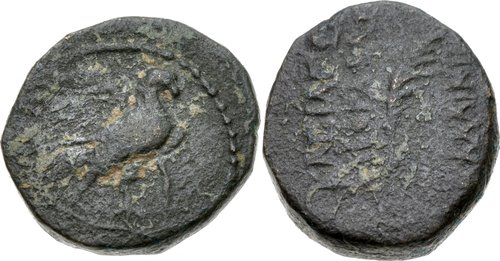 Image 0