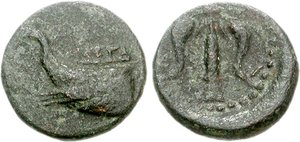 81002008